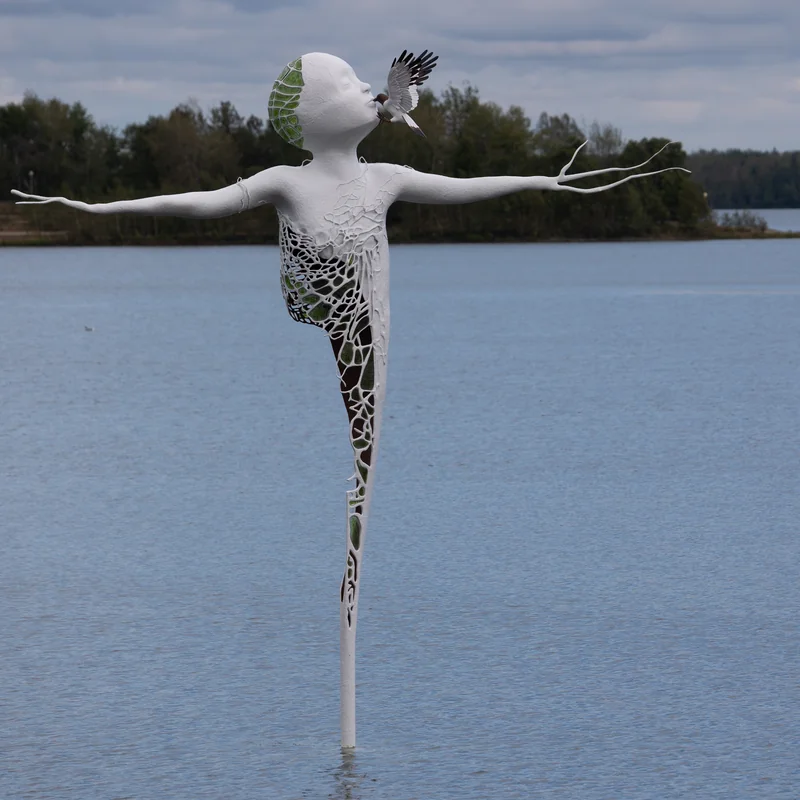 Rouyn-Noranda — Installation septique