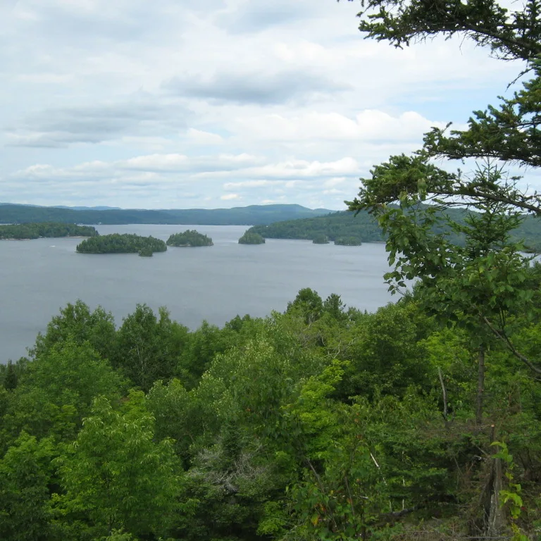 Vue du lac Gagnon à Duhamel, dans l’Outaouais : îles boisées et rives forestières — Installation septique
